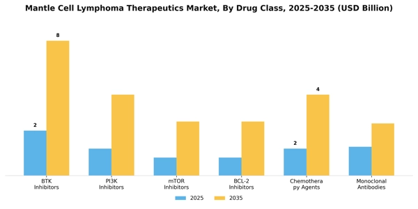 Mantle Cell Lymphoma Therapeutics Market Segment Image 0