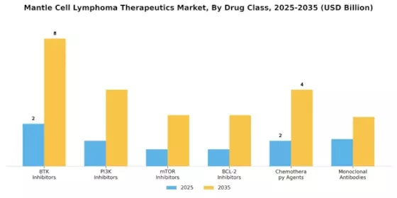 Mantle Cell Lymphoma Therapeutics Market Segment Image 0