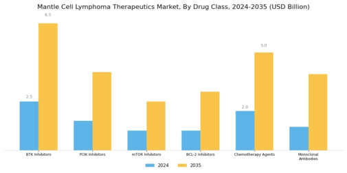 Mantle Cell Lymphoma Therapeutics Market Segment Image 0