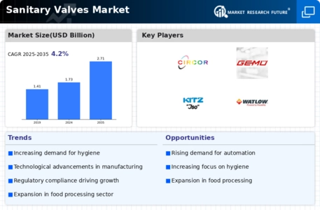 Sanitary Valves Market Infographic