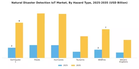 Natural Disaster Detection IoT Market Segment Image 1