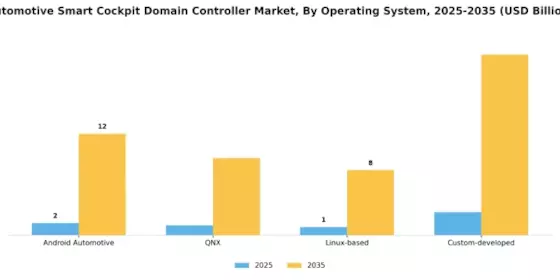 Automotive Smart Cockpit Domain Controller Market Segment Image 1