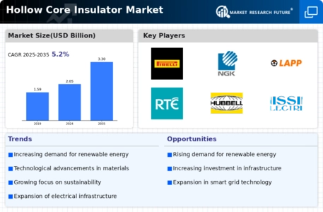 Hollow Core Insulator Market Infographic