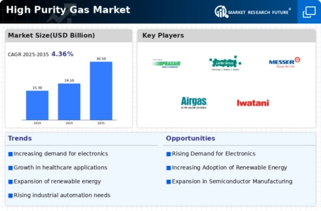 High Purity Gas Market Infographic