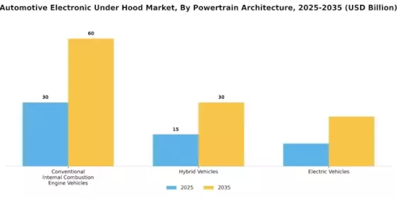 Automotive Electronic Under Hood Market Segment Image 1