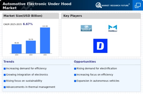 Automotive Electronic Under Hood Market Infographic