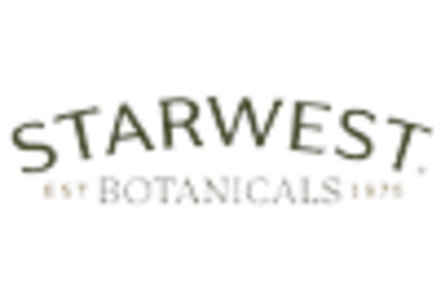 Pine Needle Oil Market key player