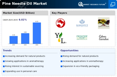 Pine Needle Oil Market Infographic