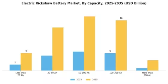 Electric Rickshaw Battery Market Segment Image 1