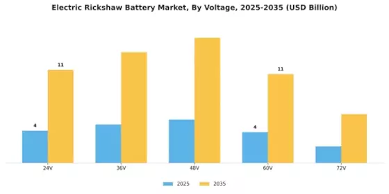 Electric Rickshaw Battery Market Segment Image 4