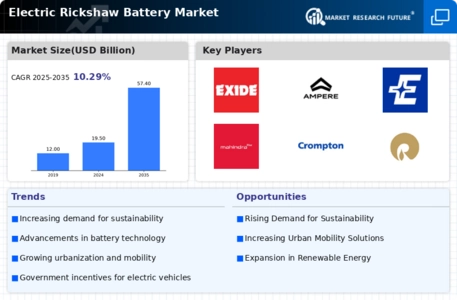 Electric Rickshaw Battery Market Infographic