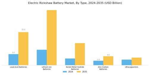 Electric Rickshaw Battery Market Segment Image 0