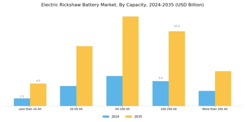 Electric Rickshaw Battery Market Segment Image 1