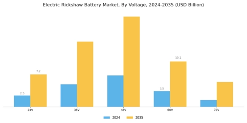 Electric Rickshaw Battery Market Segment Image 4