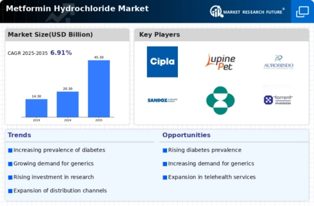 Metformin Hydrochloride Market Infographic