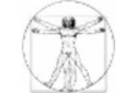 Veterinary Surgical Instruments Market key player