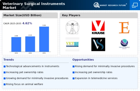 Veterinary Surgical Instruments Market Infographic