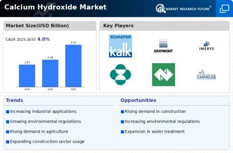 Calcium Hydroxide Market Infographic