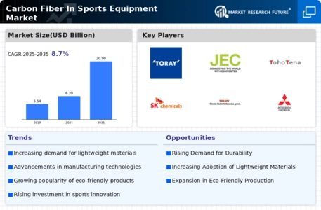 Carbon Fiber In Sports Equipment Market
 Infographic