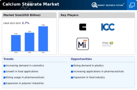 Calcium Stearate Market Infographic