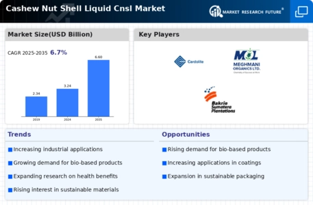 Cashew Nut Shell Liquid Market
 Infographic