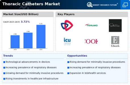 Thoracic Catheters Market Infographic