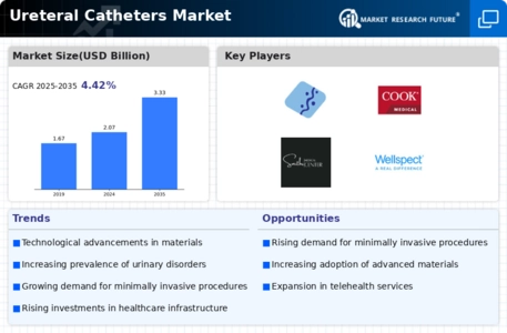 Ureteral Catheters Market Infographic