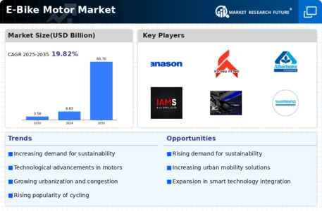 E Bike Motor Market Infographic