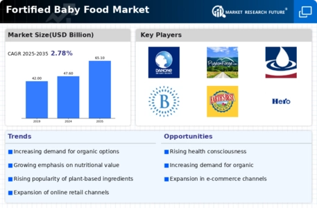 Fortified Baby Food Market Infographic