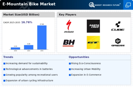 E Mountain Bike Market Infographic