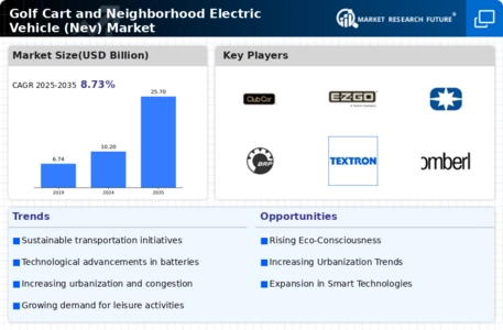 Golf Cart and Neighborhood Electric Vehicle Market Infographic