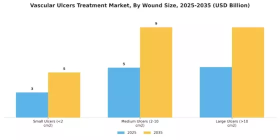 Vascular Ulcers Treatment Market Segment Image 2