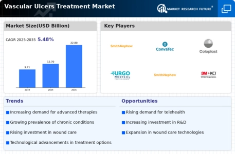 Vascular Ulcers Treatment Market Infographic