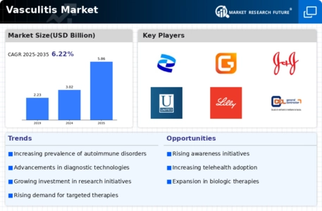 Vasculitis Market Infographic