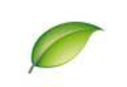 White Willow Bark Extract Market key player