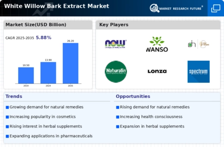 White Willow Bark Extract Market Infographic