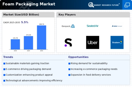 Foam Packaging Market Infographic