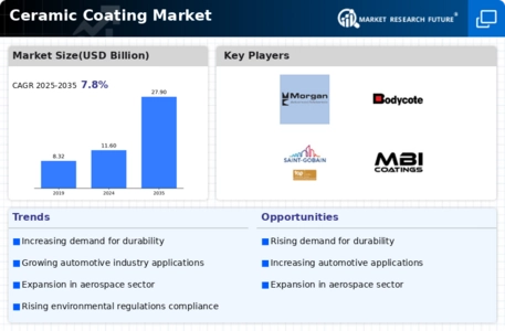 Ceramic Coating Market Infographic