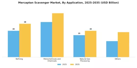 Mercaptan Scavenger Market Segment Image 1