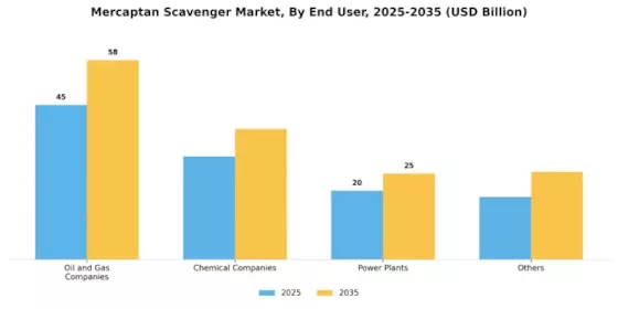 Mercaptan Scavenger Market Segment Image 2