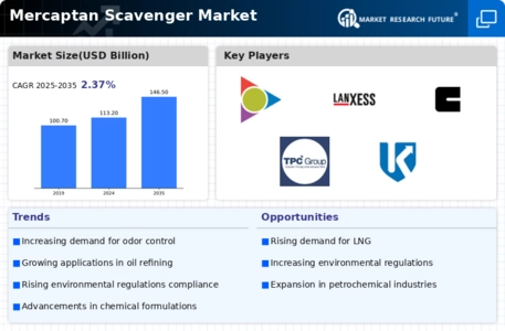 Mercaptan Scavenger Market Infographic