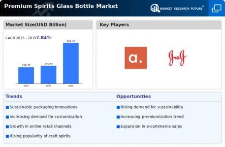 Premium Spirits Glass Bottle Market Infographic