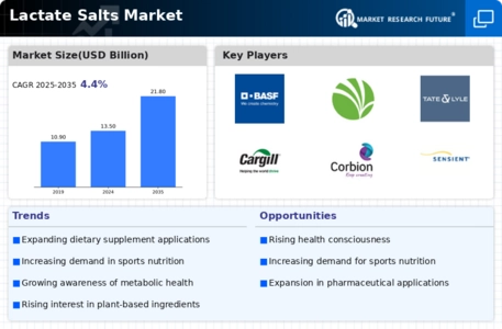 Lactate Salts Market Infographic
