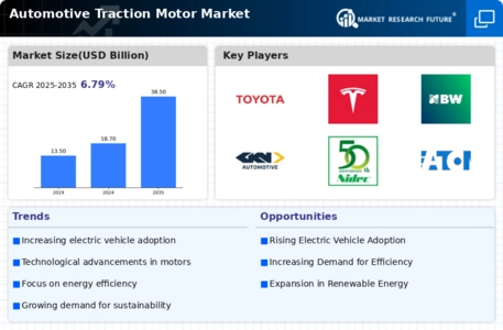 Automotive Traction Motor Market Infographic