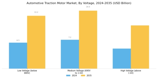 Automotive Traction Motor Market Segment Image 1