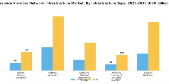 Service Provider Network Infrastructure Market Segment Image 0