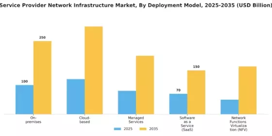 Service Provider Network Infrastructure Market Segment Image 3