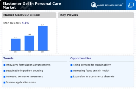 Elastomer Gel in Personal Care Market Infographic