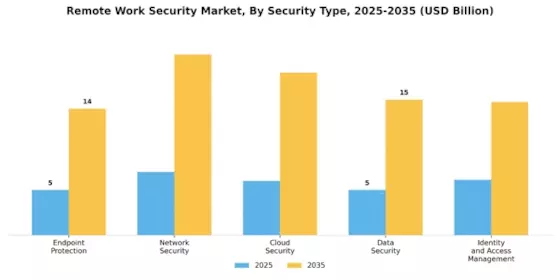 Remote Work Security Market Segment Image 0