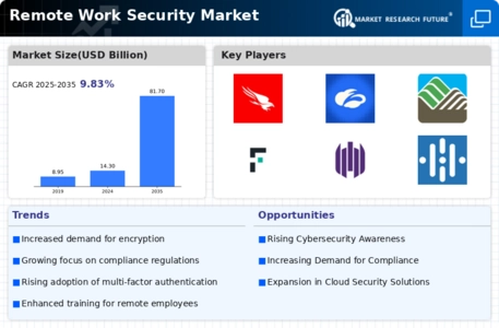 Remote Work Security Market Infographic